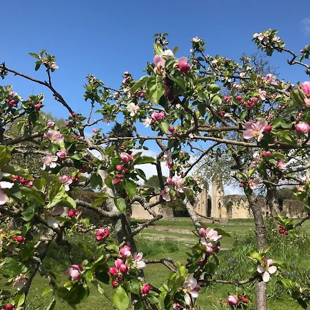 Magnolia Tree House Daire Glastonbury Dış mekan fotoğraf
